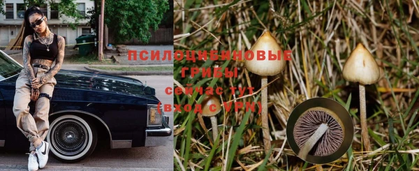 стаф Беломорск