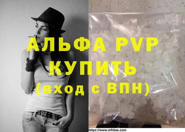 стаф Беломорск