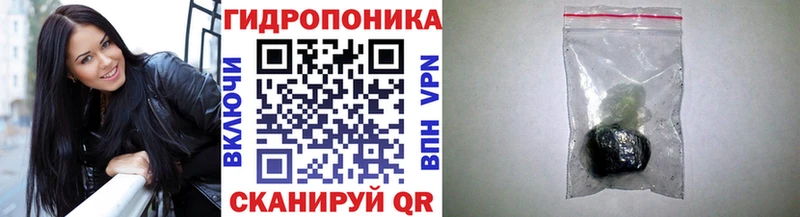 Шишки марихуана гибрид  Горняк 